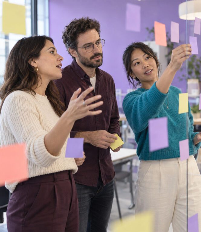 Le digital learning comme pilier de notre expertise - Speedernet